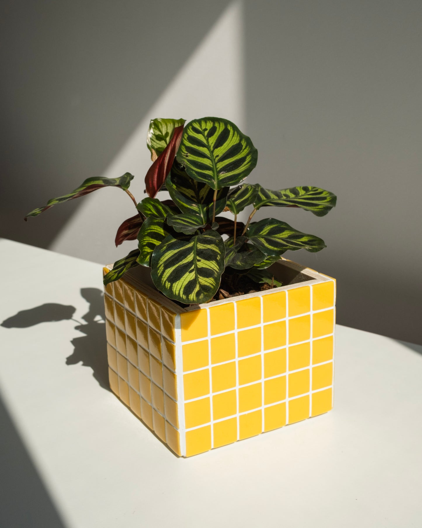 Pot décoratif - Cache-pot Jaune - Pixel