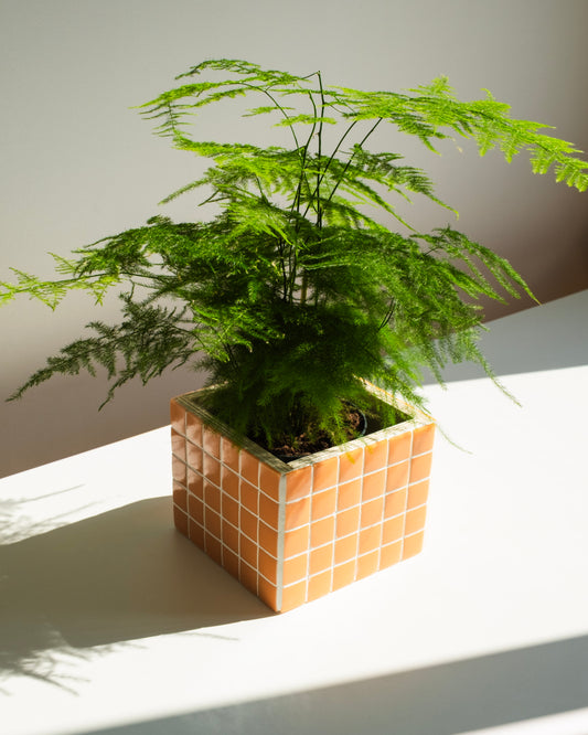 Pot décoratif - Cache-pot Orange - Pixel